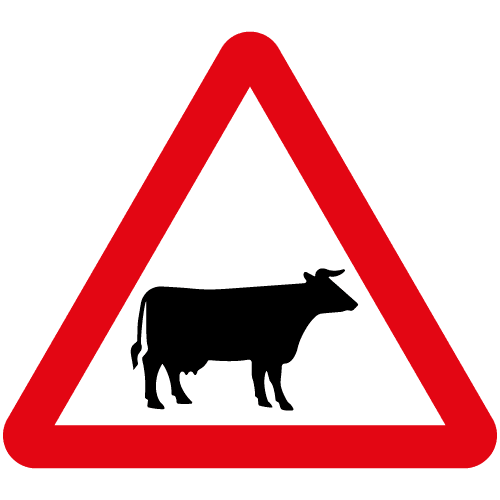Cattle and Livestock