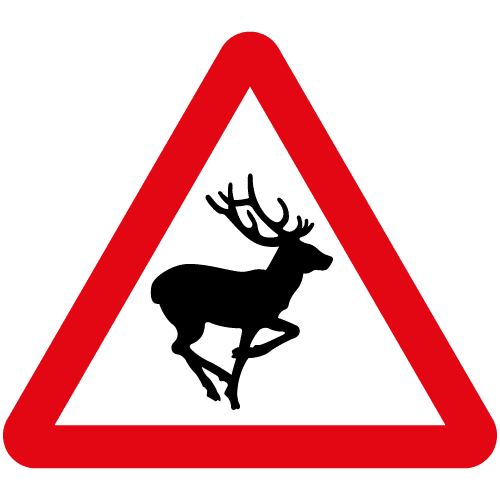 Wild Animals