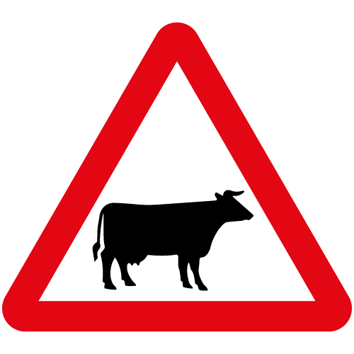 Cattle and Livestock
